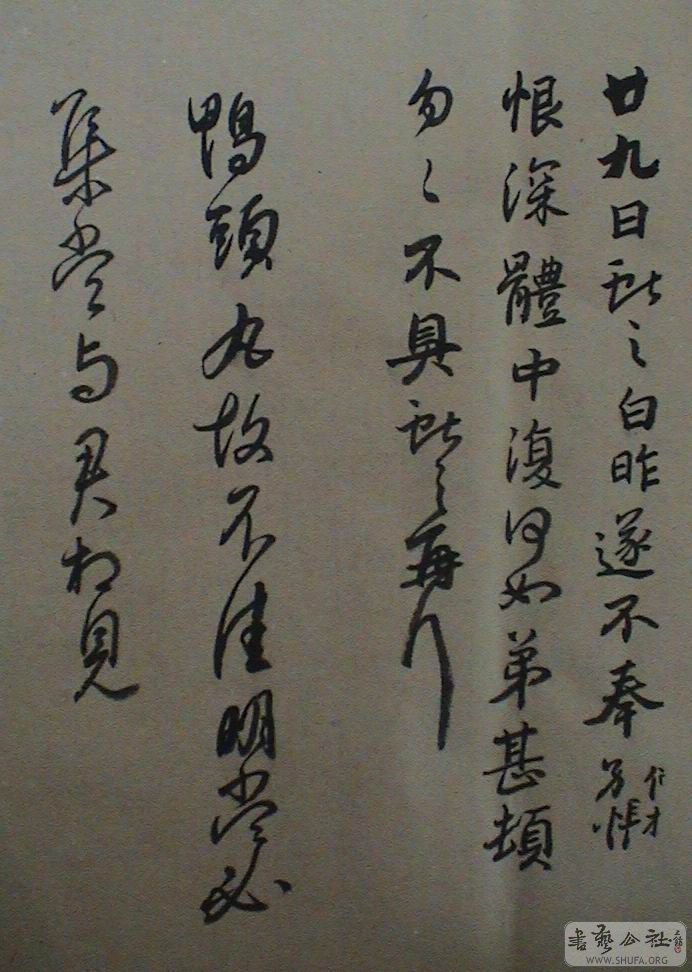 DSC08070.JPG