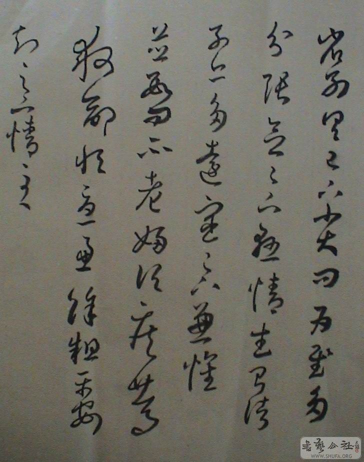 DSC08064.JPG