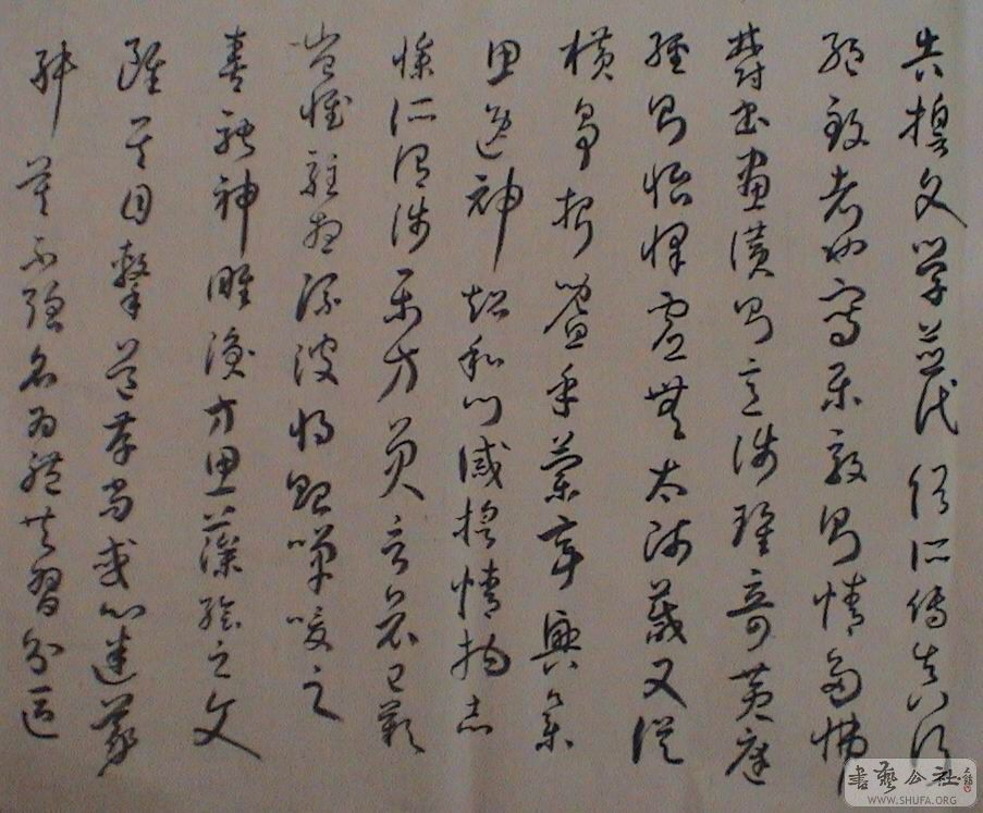 DSC08076.JPG