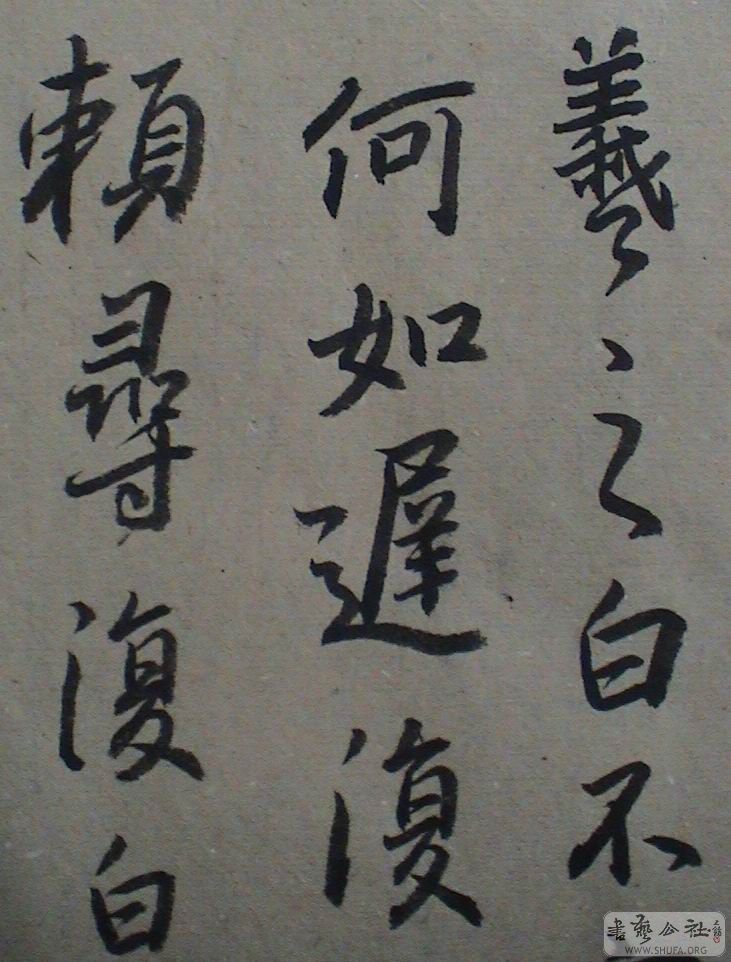 DSC08079.JPG