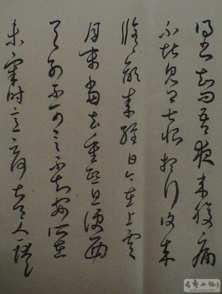 DSC08069.JPG