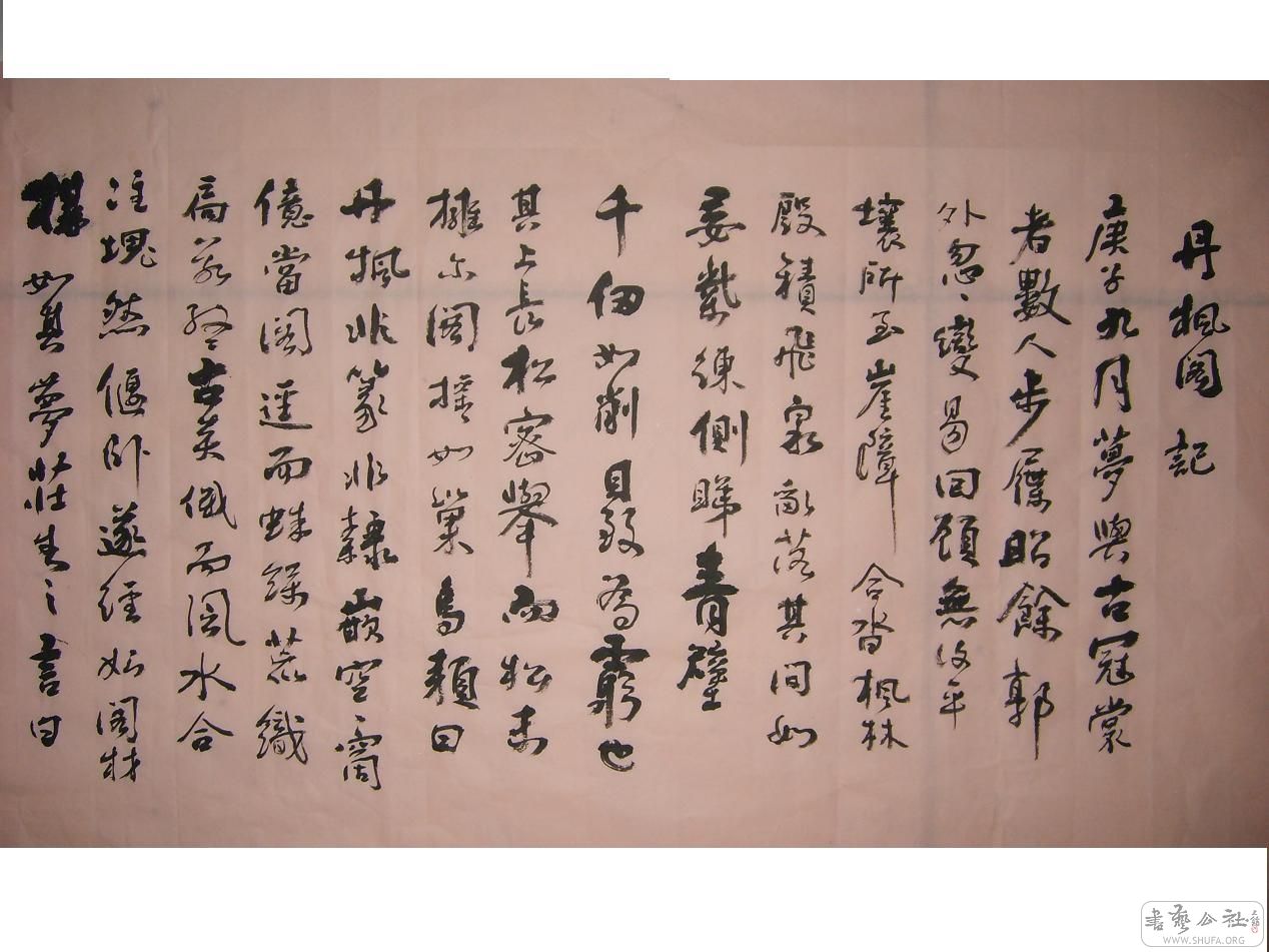 S6002164.JPG