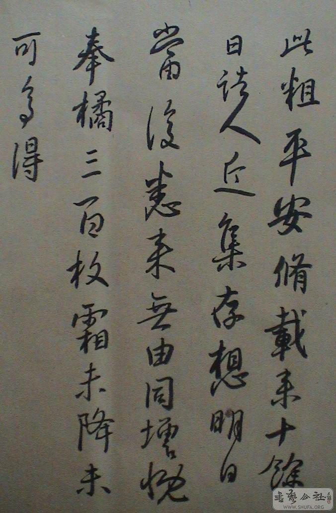 DSC08065.JPG