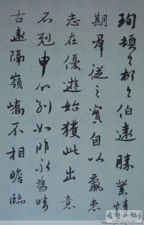 81.jpg