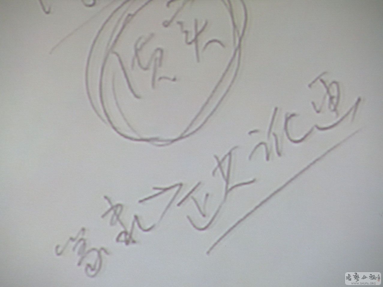 PA210949.JPG