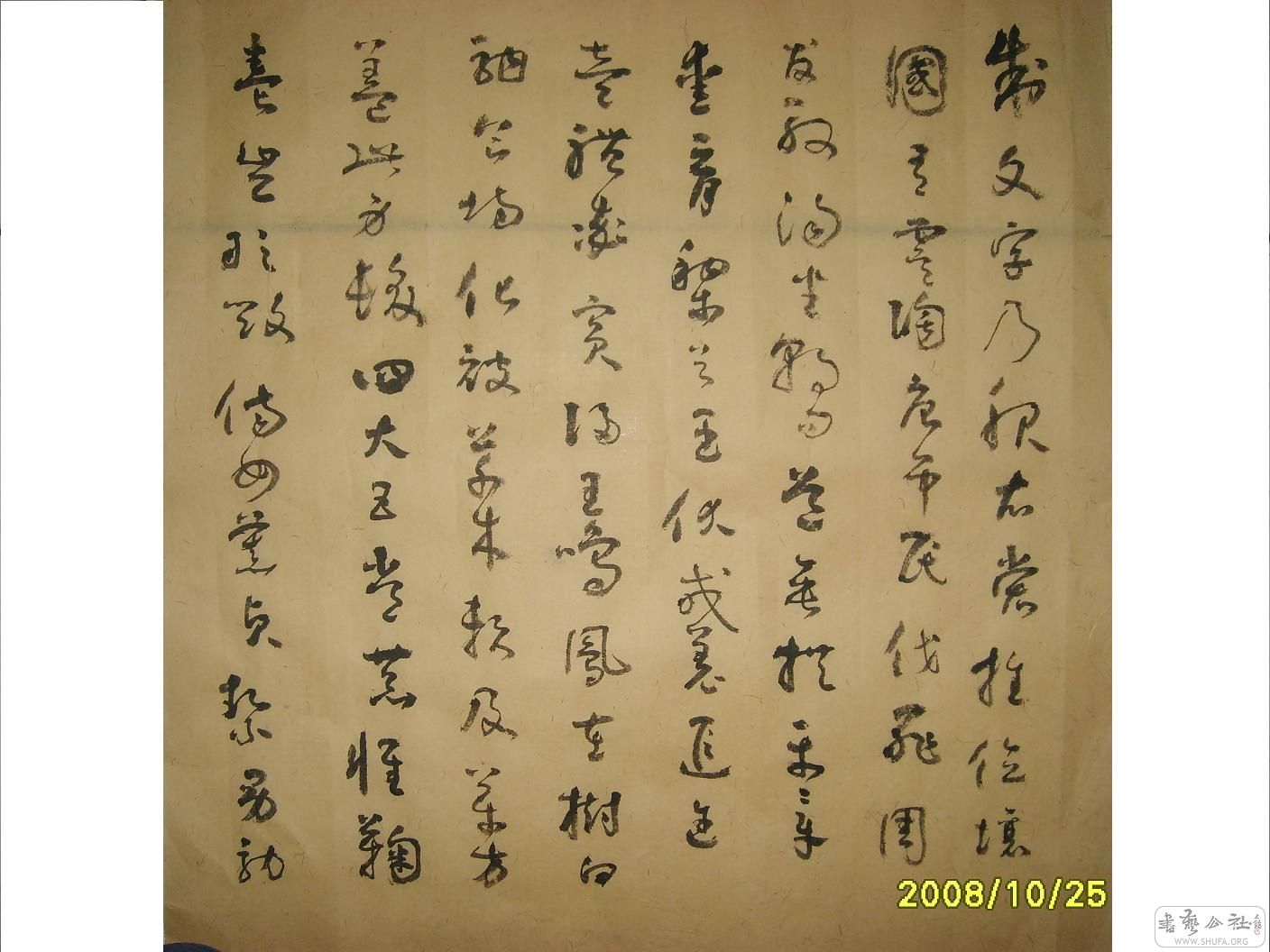 S6002178.JPG
