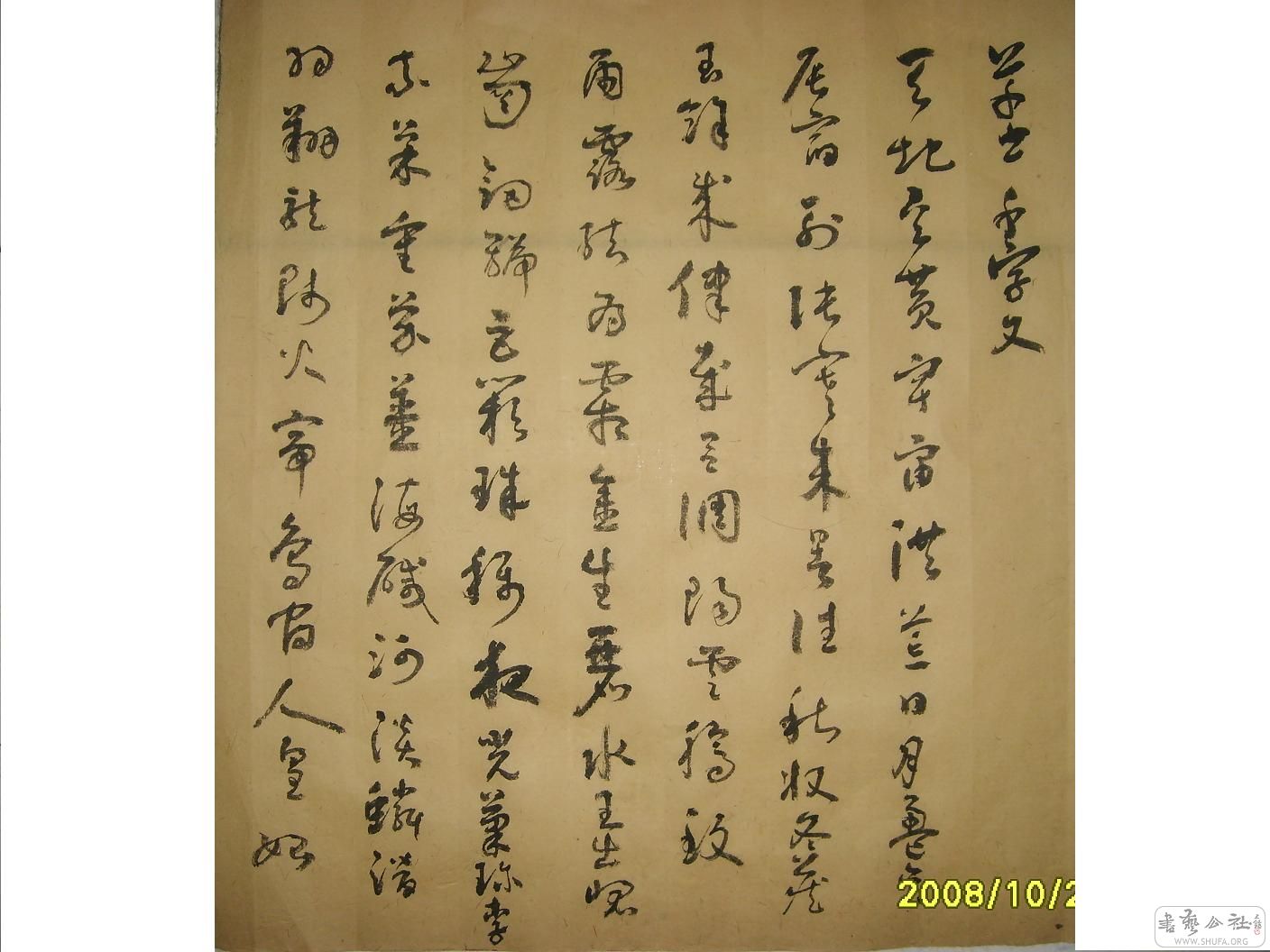 S6002175.JPG