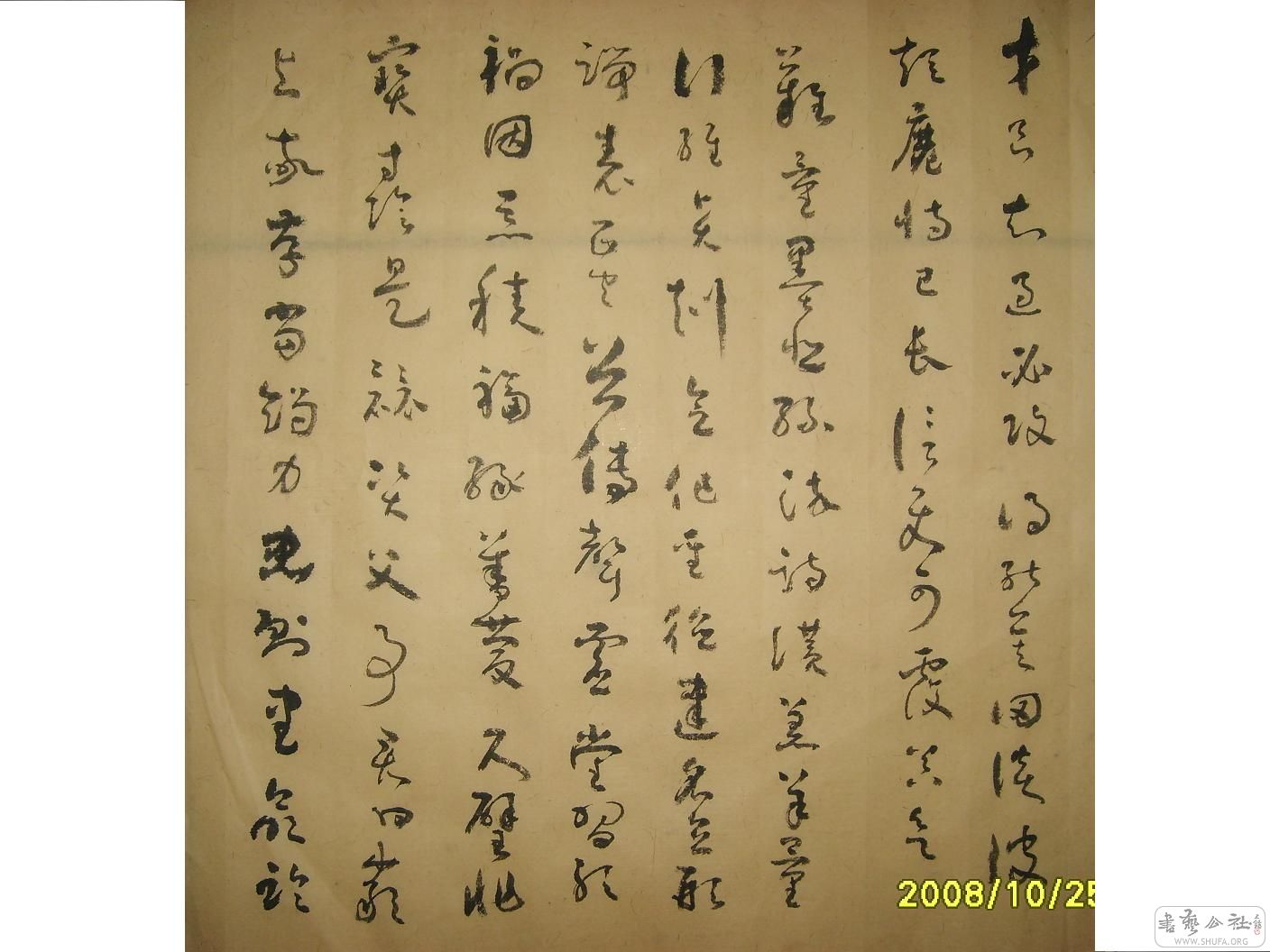 S6002177.JPG