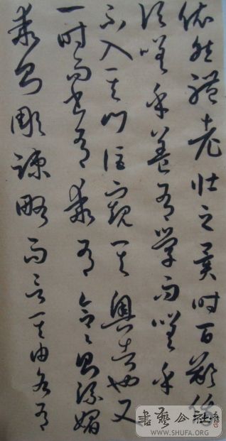 ��ת DSC01666.jpg