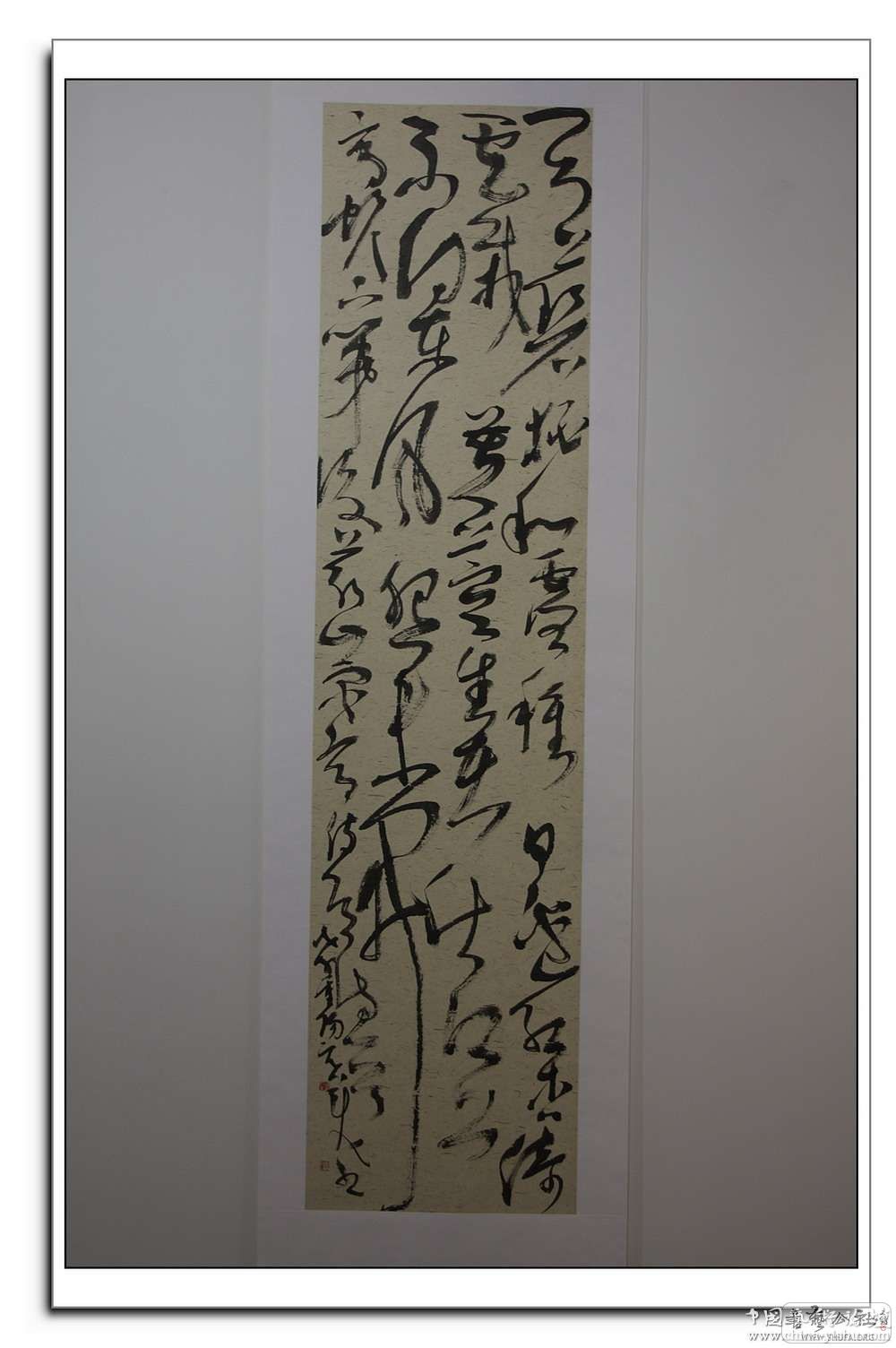 20081027_47bc6376ac8917bfe739551CQ3SDugLd.jpg