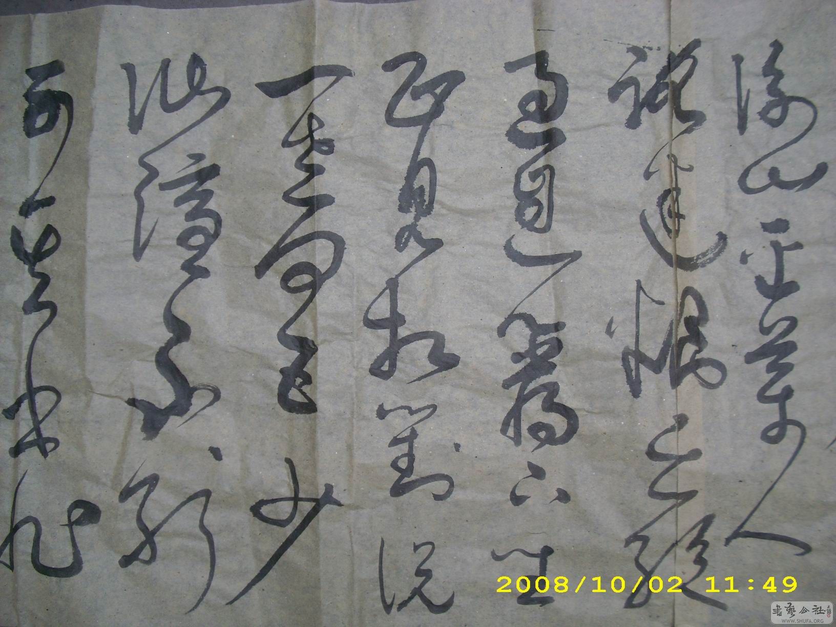 DSCI0137.JPG