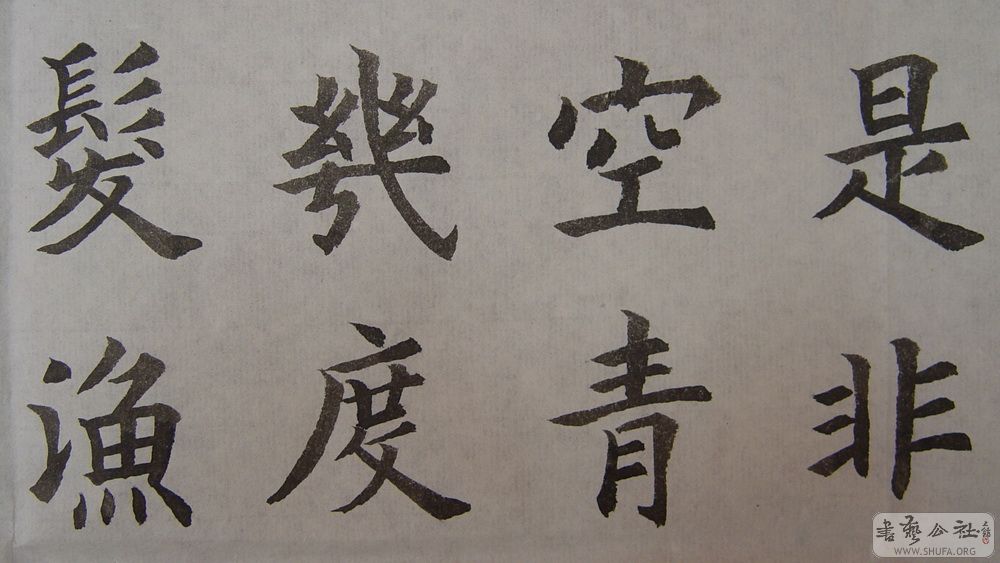 DSC02784.jpg