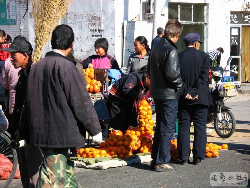 200810ɽд20.JPG