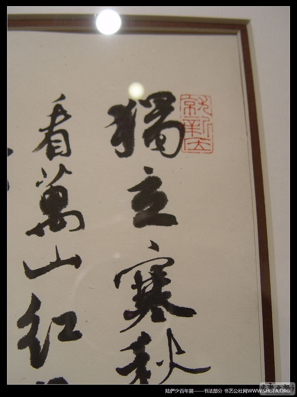 鷨158.JPG