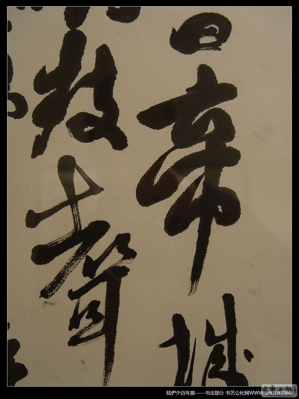 鷨117.JPG