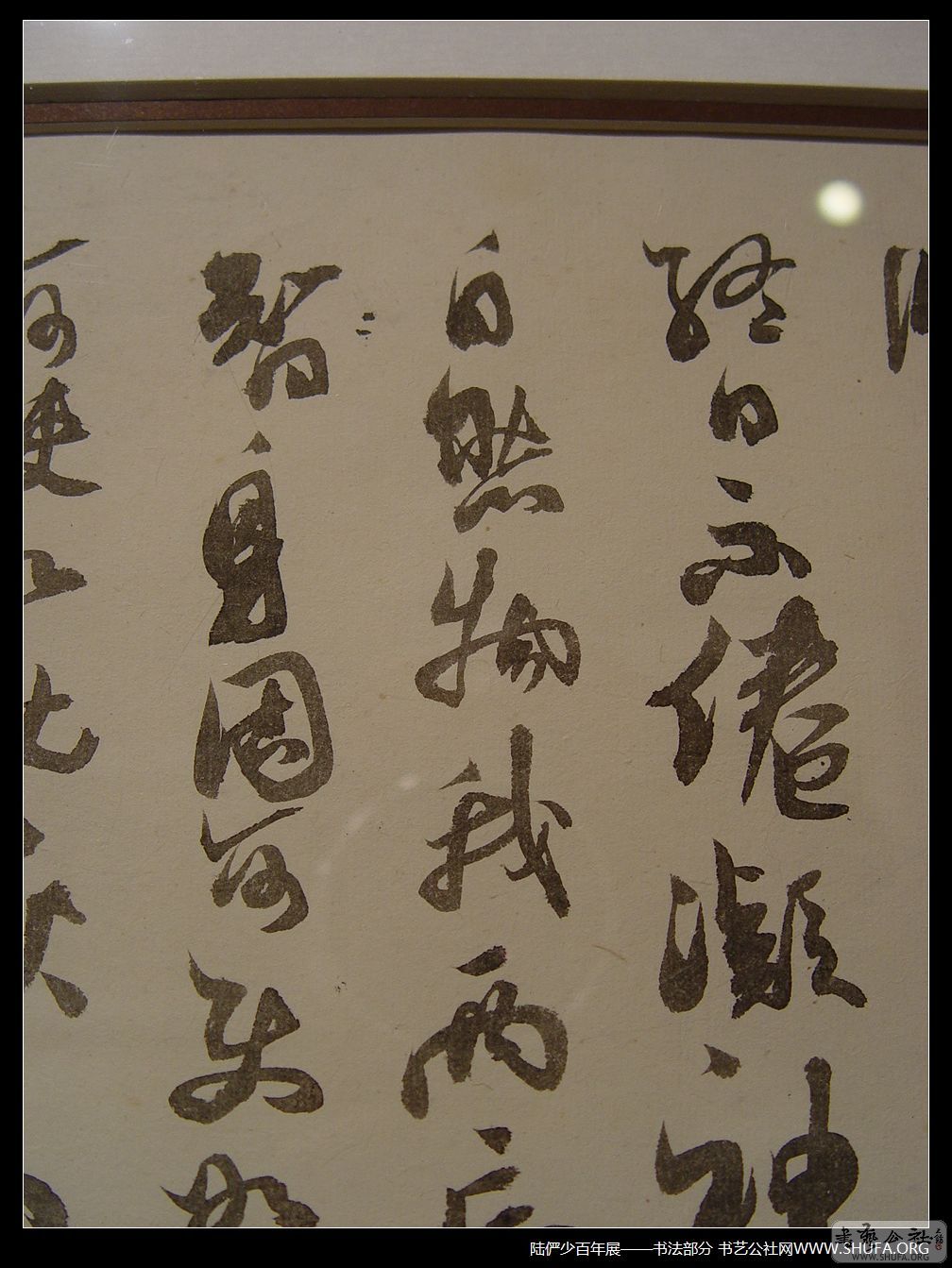 鷨128.JPG