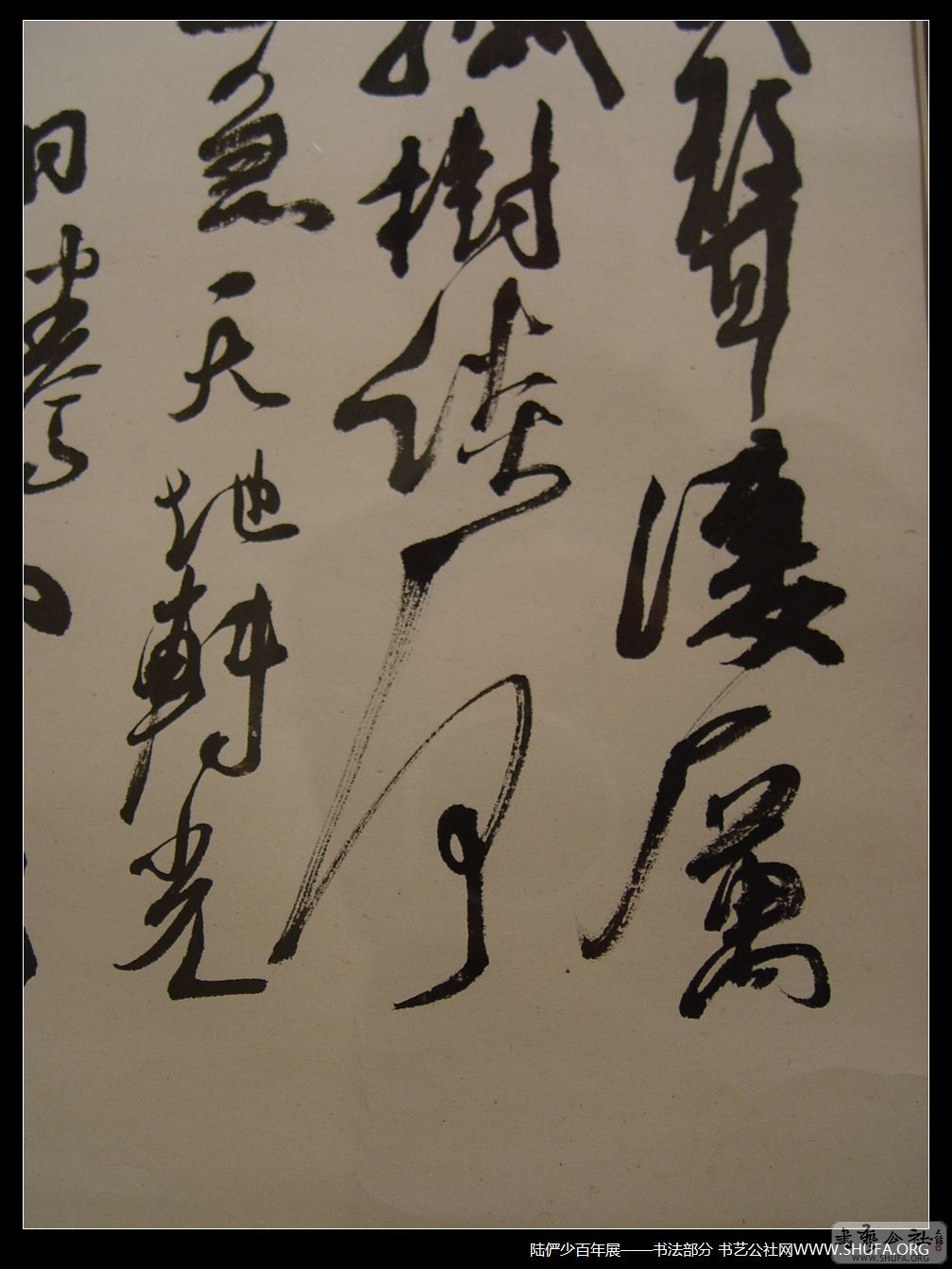 鷨023.JPG