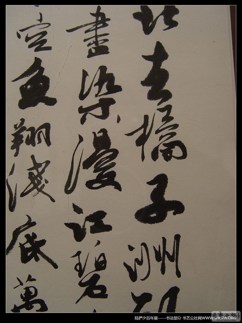鷨159.JPG