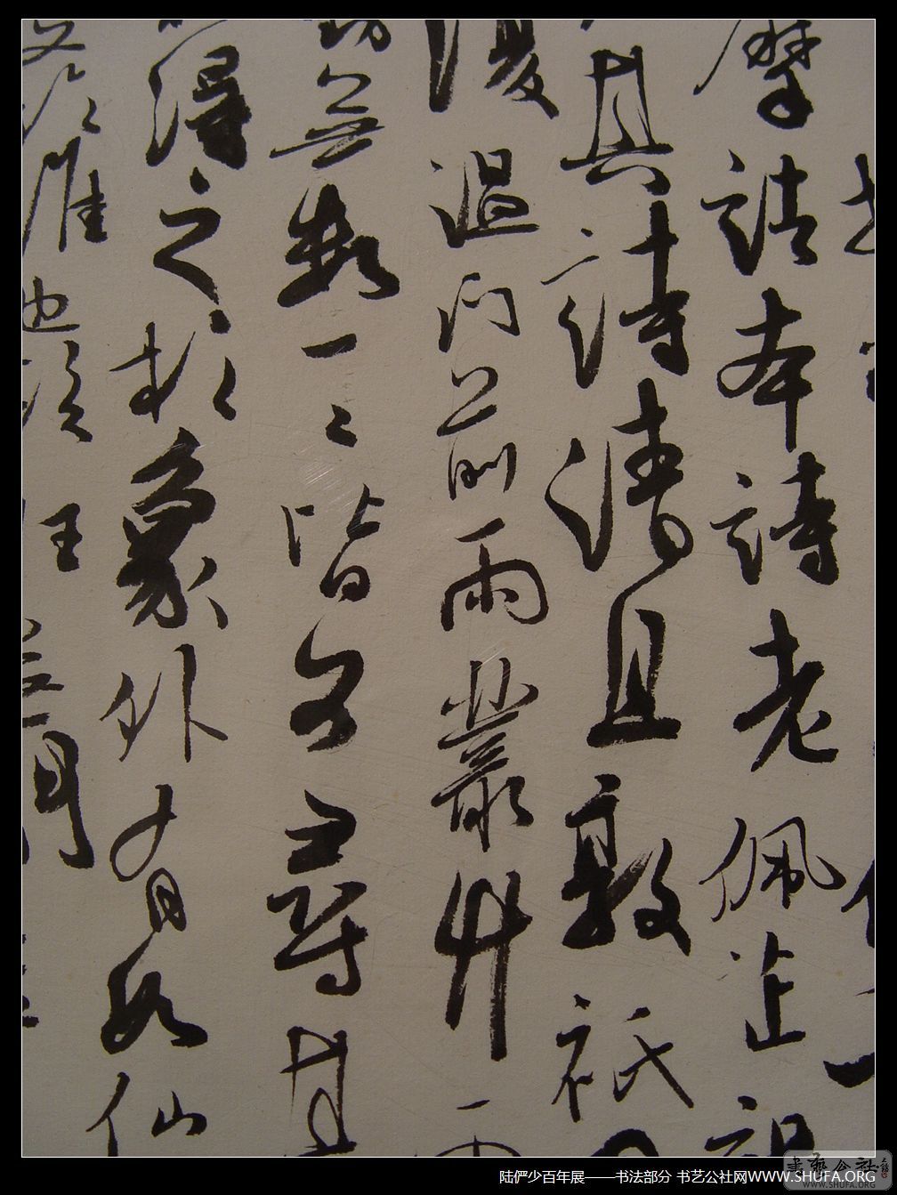 鷨169.JPG