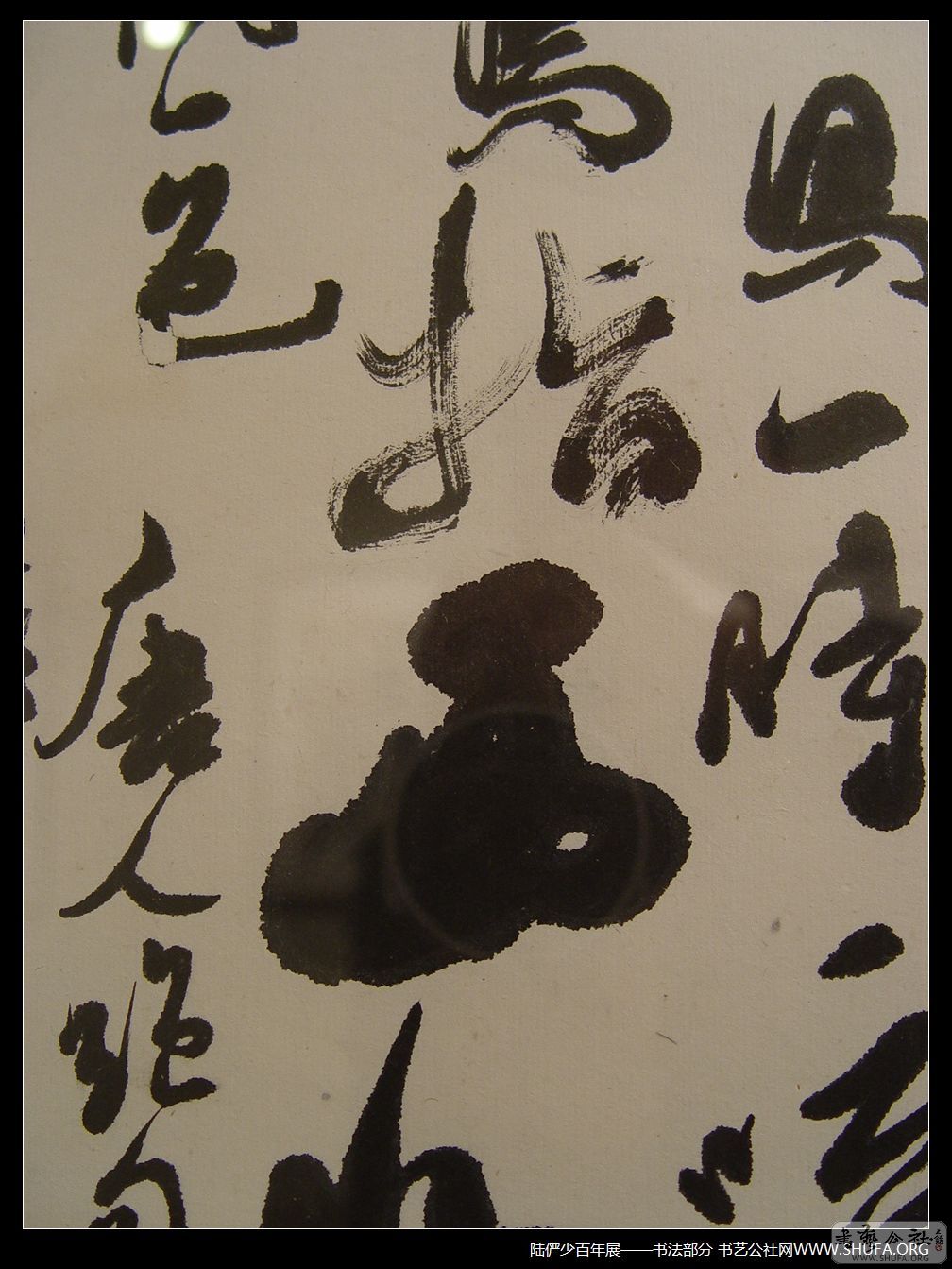 鷨118.JPG