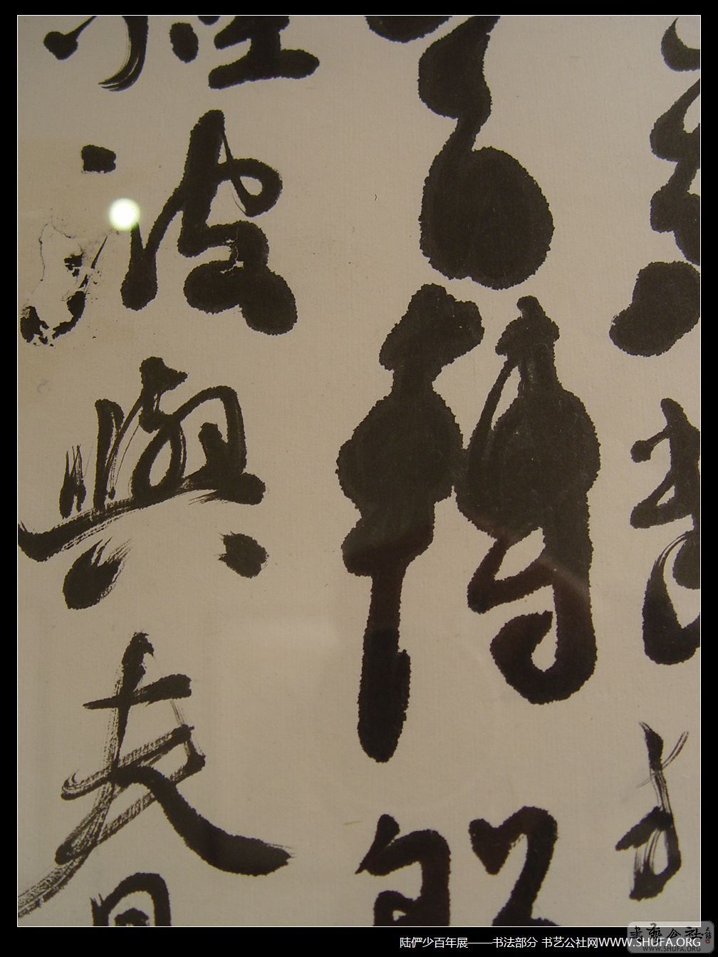 鷨119.JPG