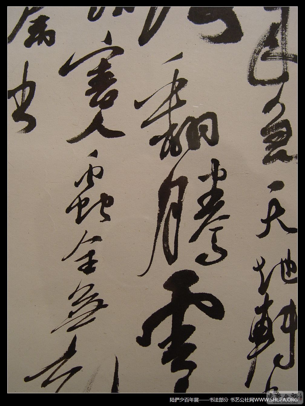 鷨024.JPG