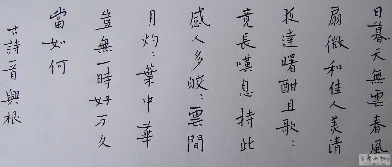DSCF3561.JPG