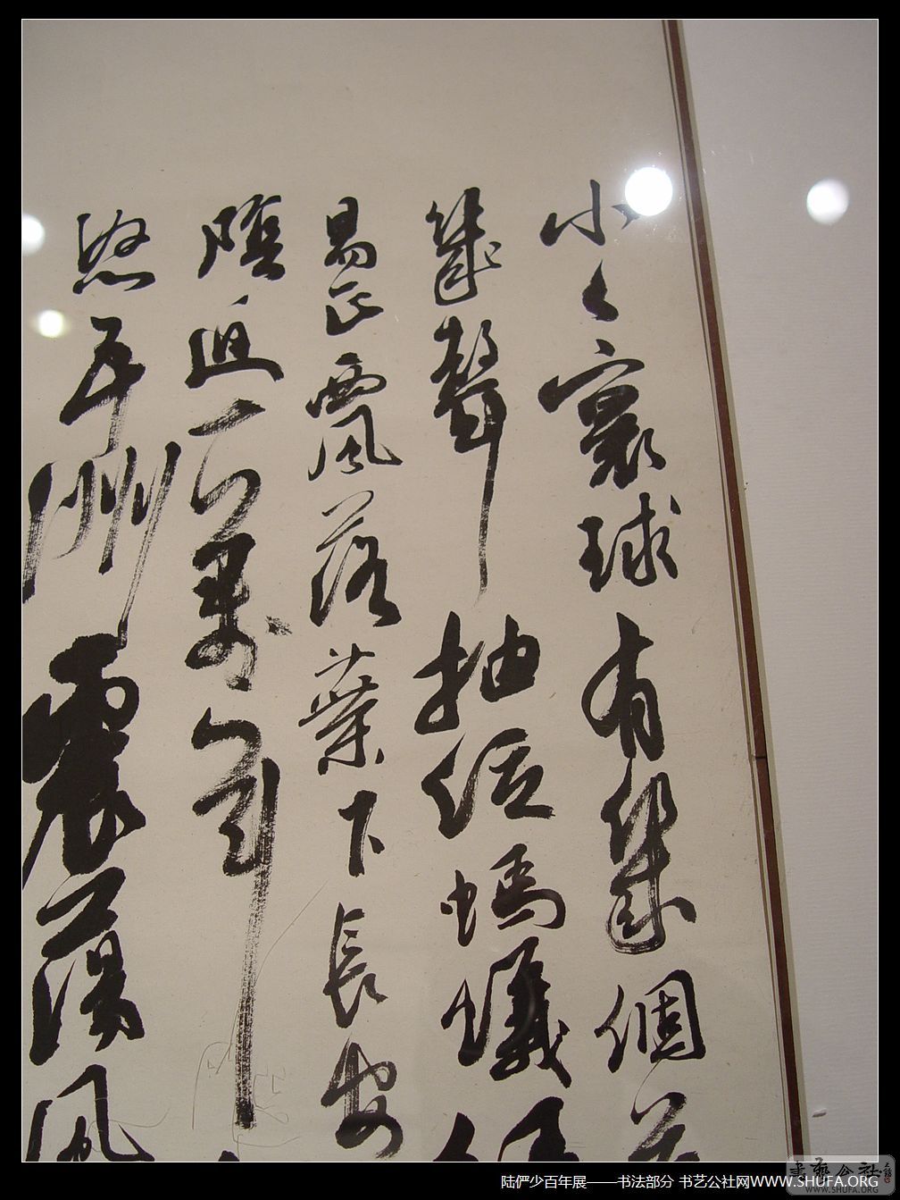 鷨021.JPG