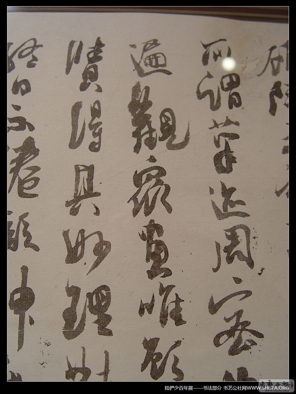 鷨126.JPG