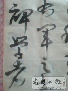IMG0422A.jpg