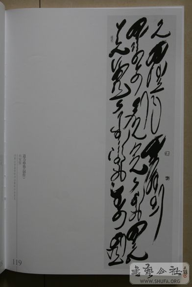 IMG_5512.jpg