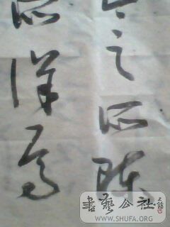 IMG0409A.jpg