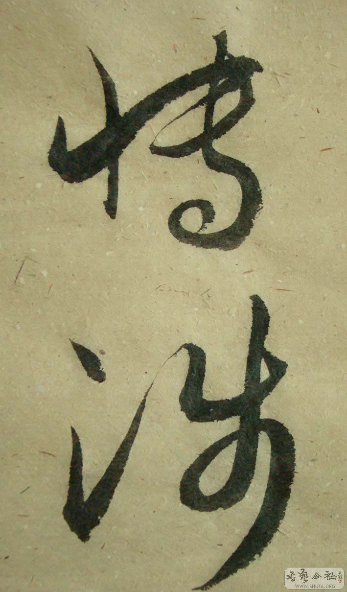DSC00856.jpg