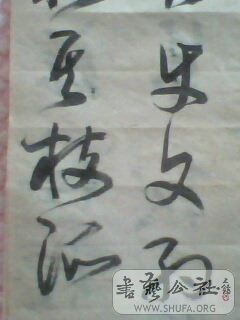 IMG0424A.jpg