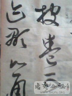 IMG0413A.jpg
