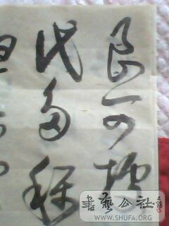 IMG0419A.jpg