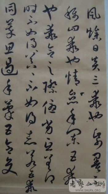 ��ת DSC01702.jpg