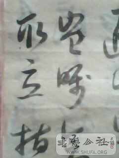 IMG0417A.jpg