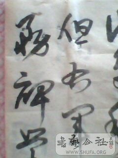 IMG0421A.jpg