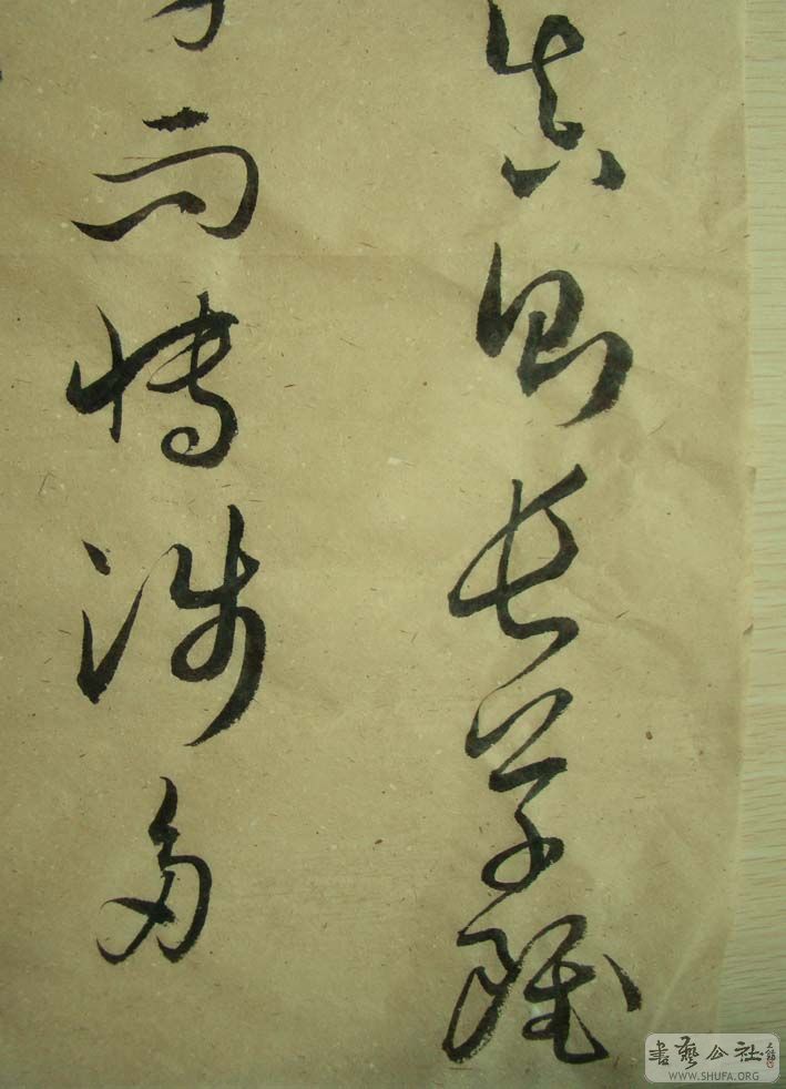DSC00852.jpg