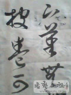 IMG0411A.jpg
