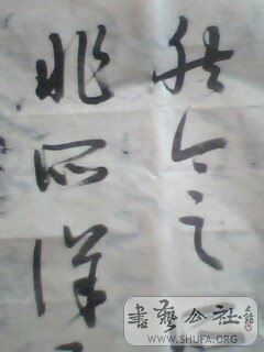 IMG0408A.jpg