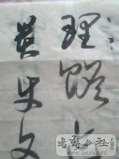 IMG0425A.jpg