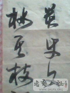 IMG0423A.jpg