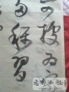 IMG0420A.jpg
