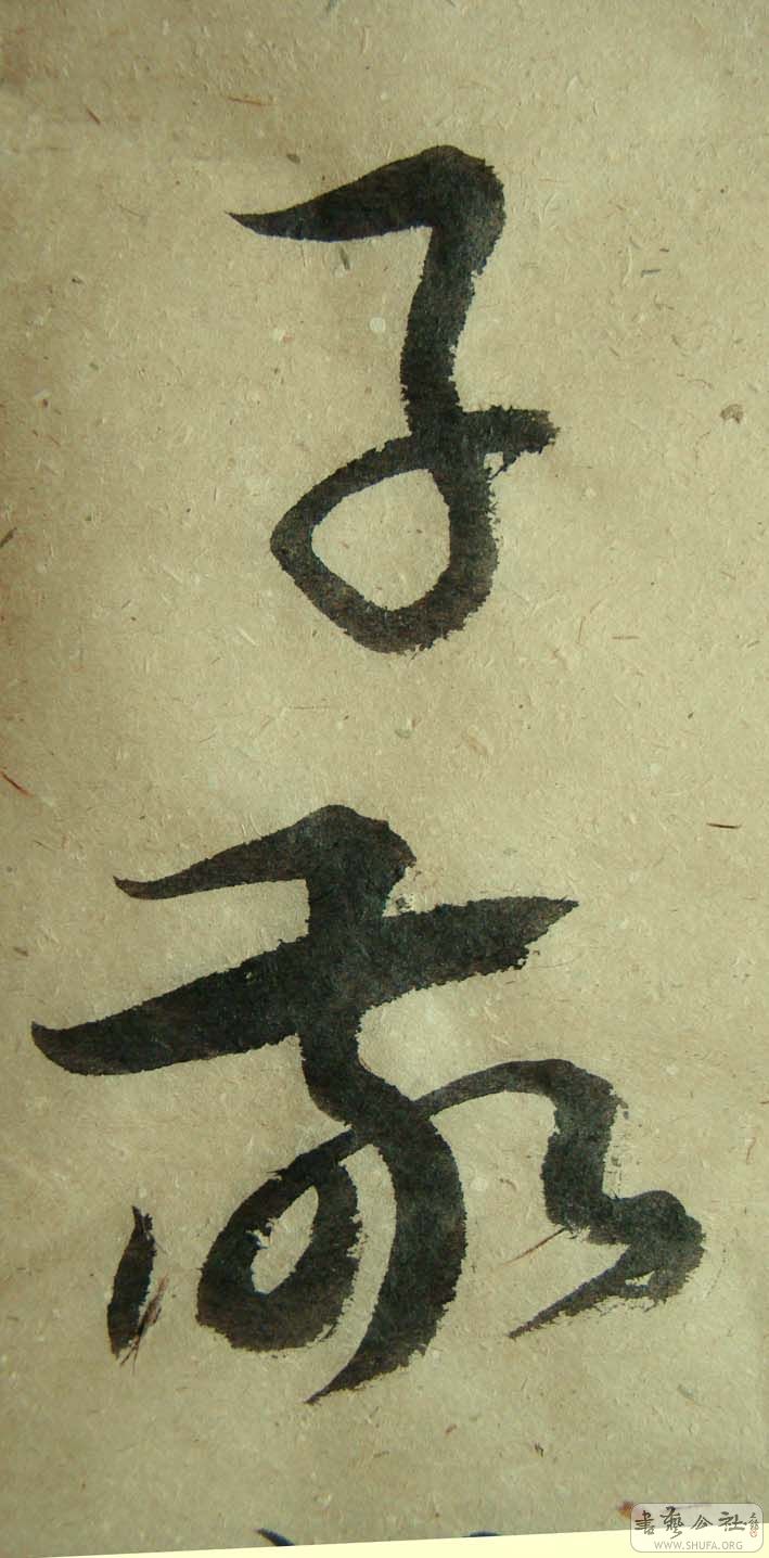 DSC00855.jpg