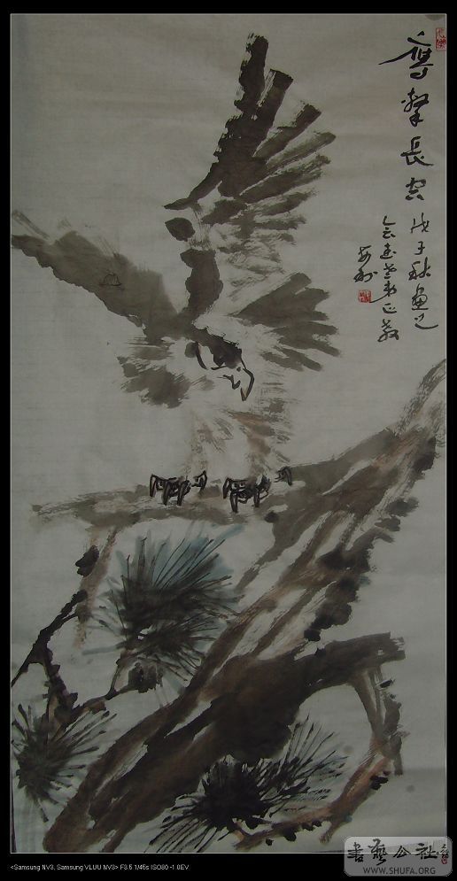 SNV32580.jpg
