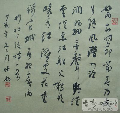 DSC02654.jpg