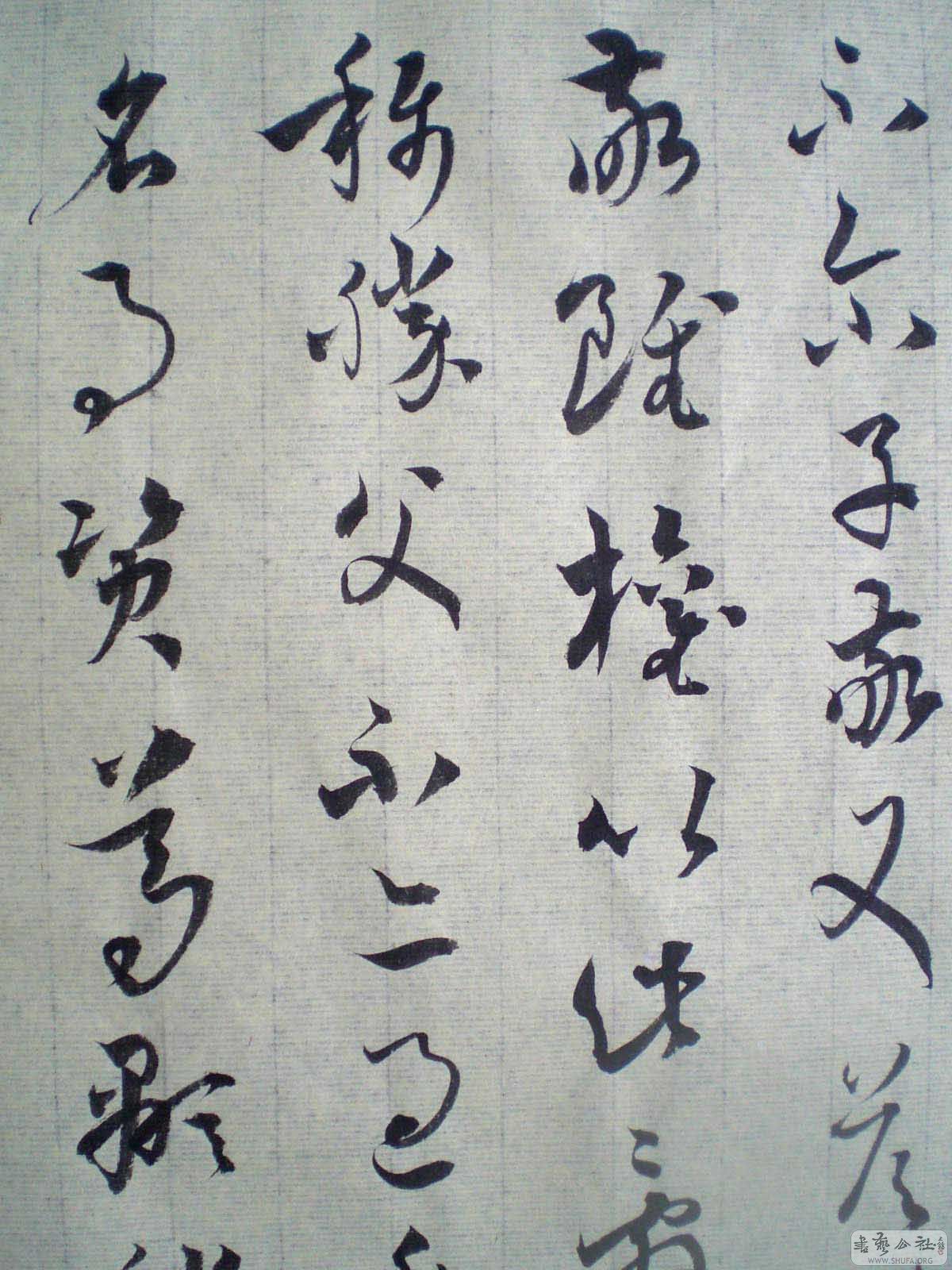 CIMG001900.jpg