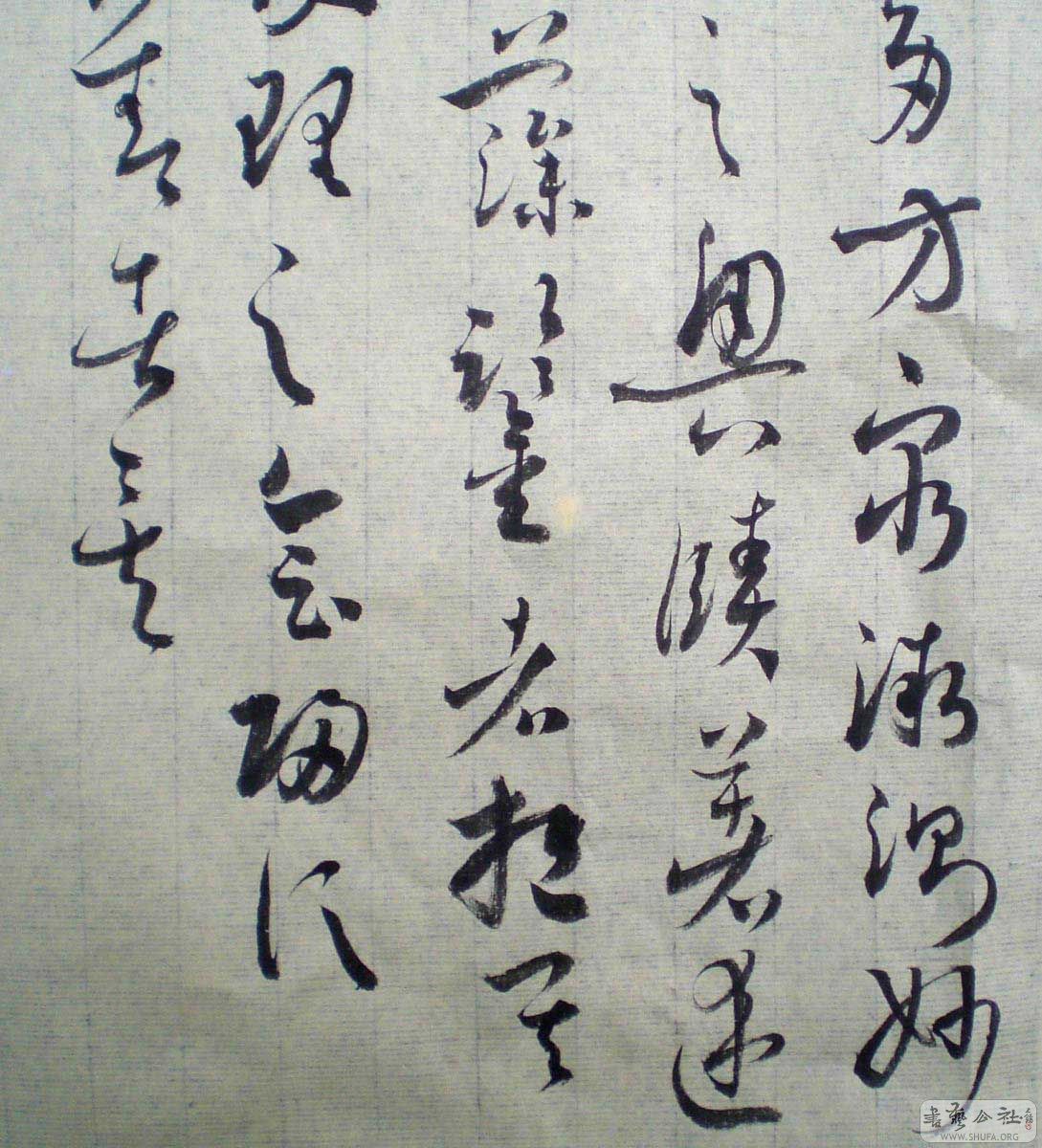 CIMG001300.jpg
